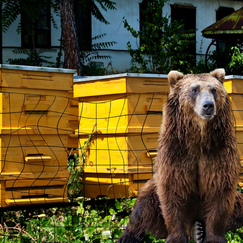 Sada na elektrický ohradník na ochranu úlů před medvědy 200m